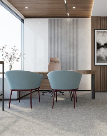 Elegant Director’s Suite